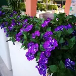 Κάμπινγκ Calatella Parco Di