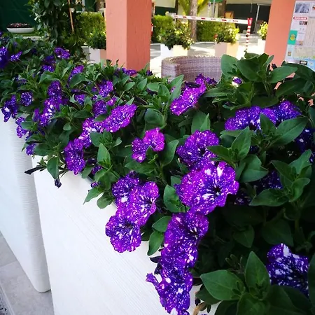 Kamp alanı Calatella Parco Di