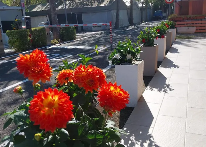 Calatella Parco Di Kamp alanı Marina di Massa