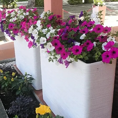 Calatella Parco Di Camping *